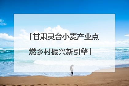 甘肃灵台小麦产业点燃乡村振兴新引擎